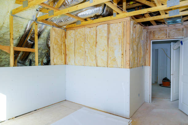 Best Cellulose Insulation  in New Port Richey, FL